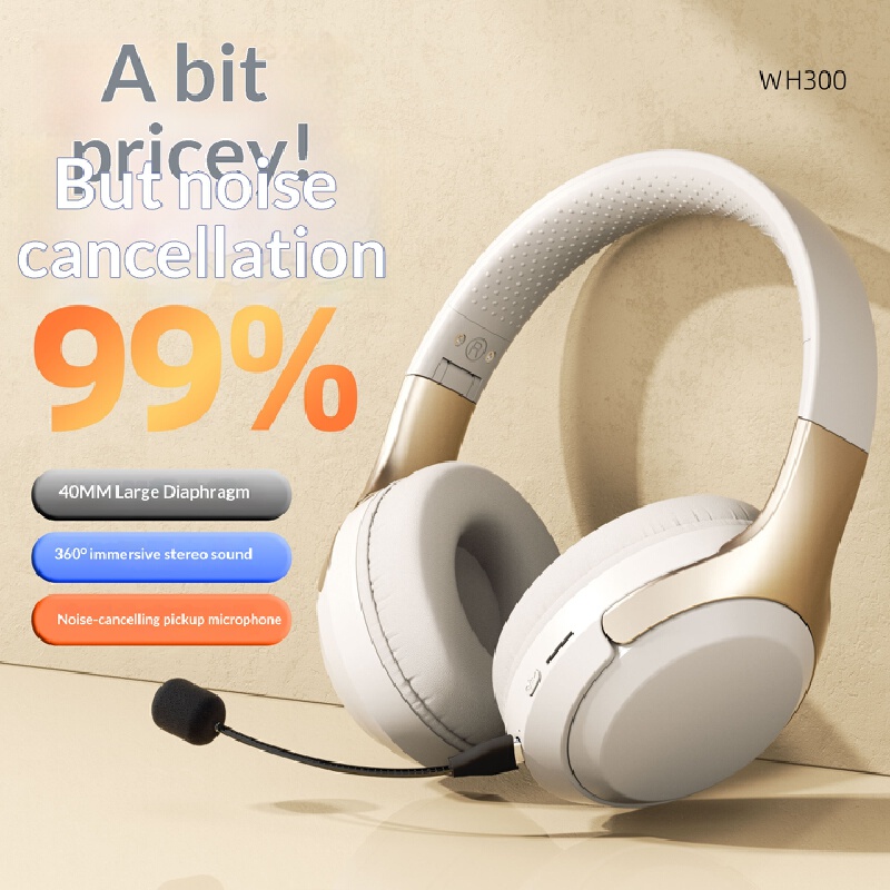 Over Ear Wireless Bluetooth He - Laptop Accessories Officeworks 리뷰 및 가격